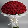 Букет 101 Красная роза Блэк Мэджик в Сюмси