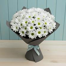 Букет цветов из:  Хризантемы в Сюмси
