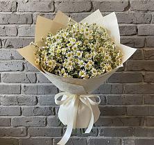 Букет цветов из:  Ромашки в Сюмси