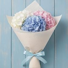 Букет цветов из:  Гортензия в Сюмси