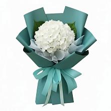 Букет цветов из:  Гортензия в Сюмси